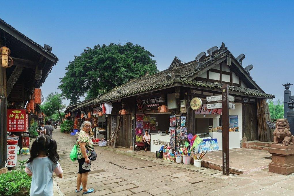 红树林逃生